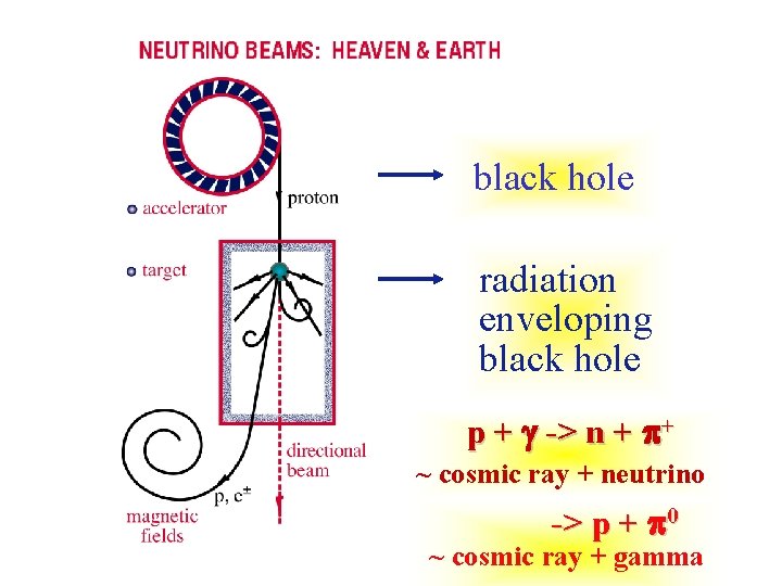 black hole radiation enveloping black hole p + -> n + p+ ~ cosmic