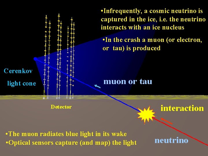  • Infrequently, a cosmic neutrino is captured in the ice, i. e. the