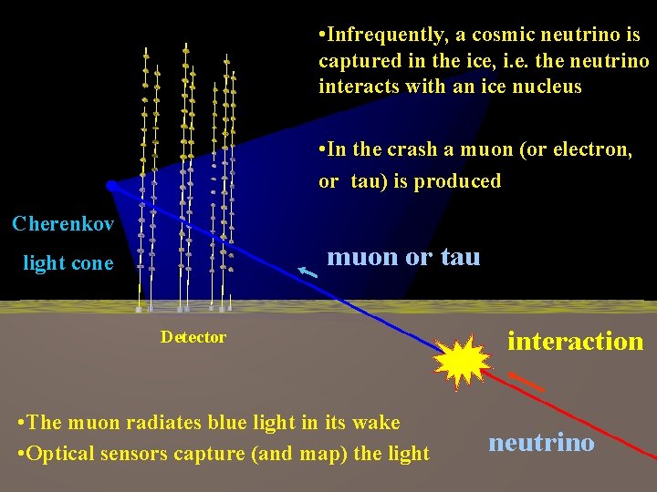  • Infrequently, a cosmic neutrino is captured in the ice, i. e. the