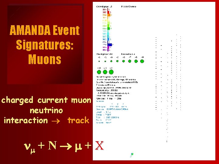 AMANDA Event Signatures: Muons charged current muon neutrino interaction track nm + N m