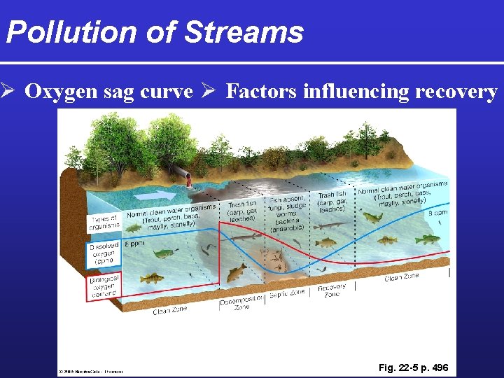 Pollution of Streams Ø Oxygen sag curve Ø Factors influencing recovery Fig. 22 -5