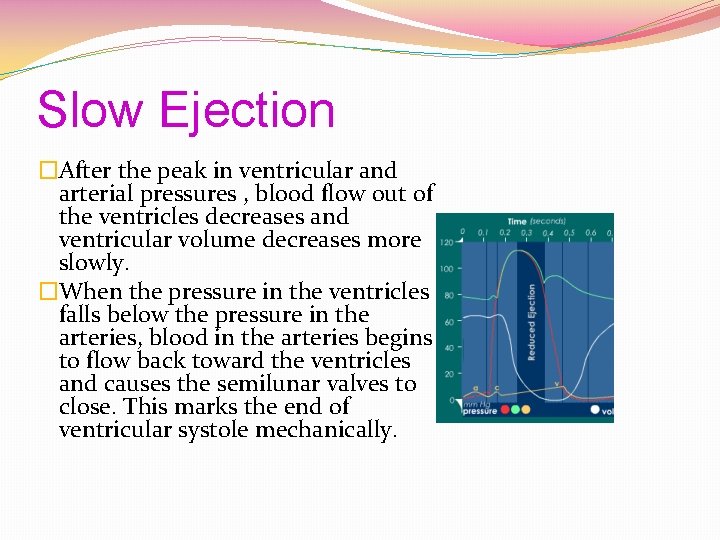 Slow Ejection �After the peak in ventricular and arterial pressures , blood flow out