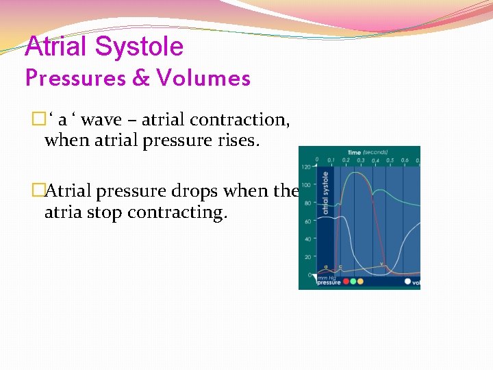 Atrial Systole Pressures & Volumes � ‘ a ‘ wave – atrial contraction, when