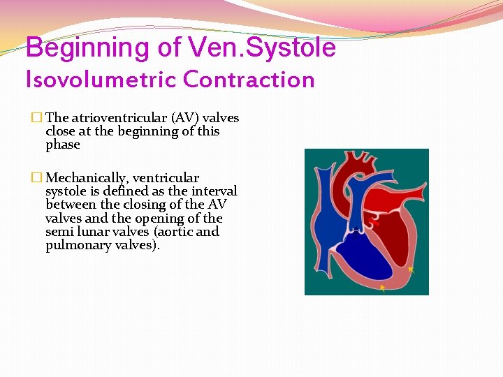 Beginning of Ven. Systole Isovolumetric Contraction � The atrioventricular (AV) valves close at the