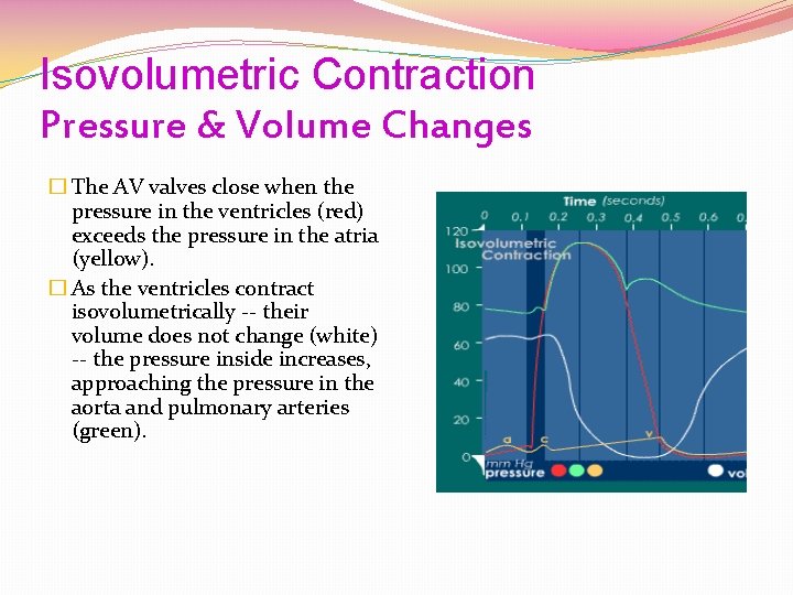 Isovolumetric Contraction Pressure & Volume Changes � The AV valves close when the pressure