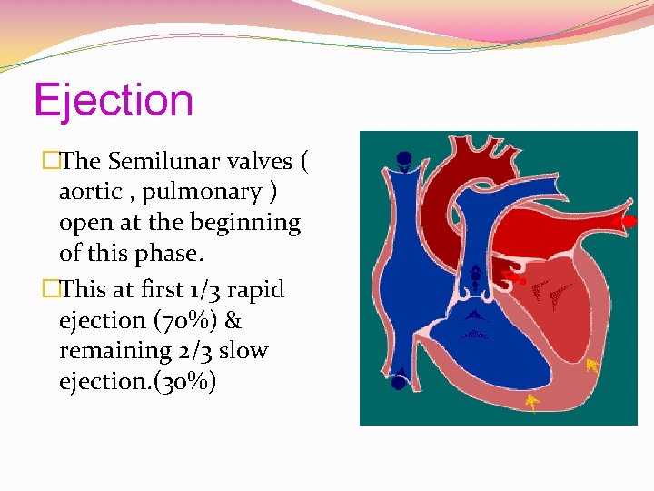 Ejection �The Semilunar valves ( aortic , pulmonary ) open at the beginning of