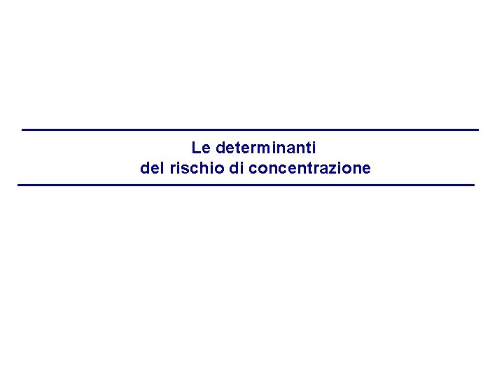Le determinanti del rischio di concentrazione 