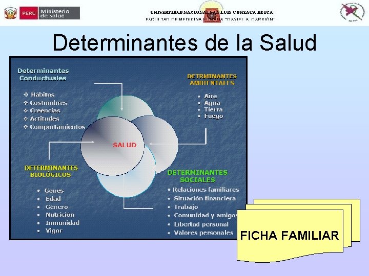 Determinantes de la Salud FICHA FAMILIAR 