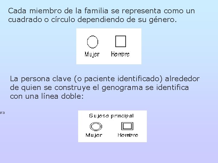 ara Cada miembro de la familia se representa como un cuadrado o círculo dependiendo