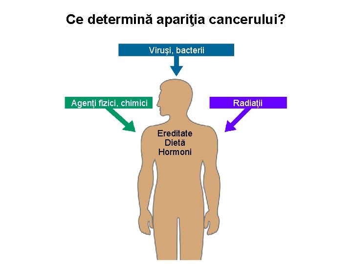 Ce determină apariţia cancerului? Viruşi, bacterii Agenţi fizici, chimici Radiaţii Ereditate Dietă Hormoni 