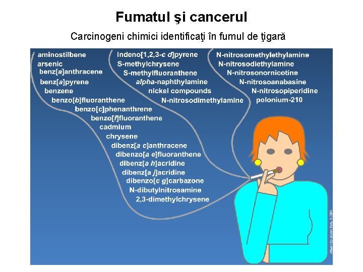 Fumatul şi cancerul Carcinogeni chimici identificaţi în fumul de ţigară 