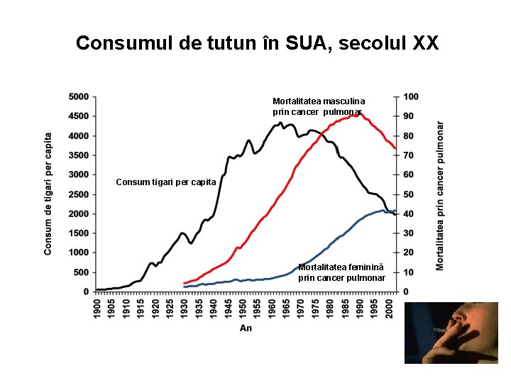 Consumul de tutun în SUA, secolul XX Mortalitatea masculina prin cancer pulmonar Consum tigari