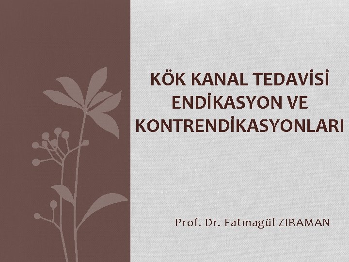 KÖK KANAL TEDAVİSİ ENDİKASYON VE KONTRENDİKASYONLARI Prof. Dr. Fatmagül ZIRAMAN 