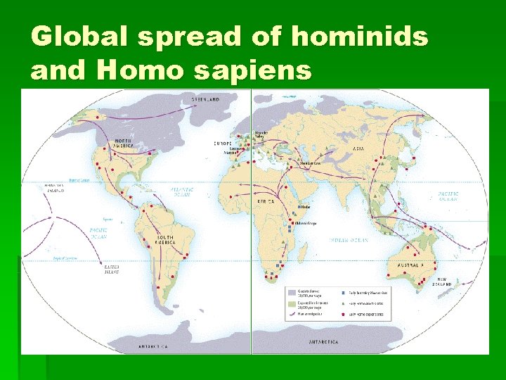 Global spread of hominids and Homo sapiens 