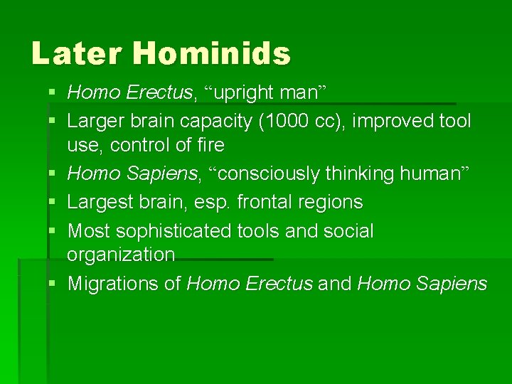 Later Hominids § Homo Erectus, “upright man” § Larger brain capacity (1000 cc), improved