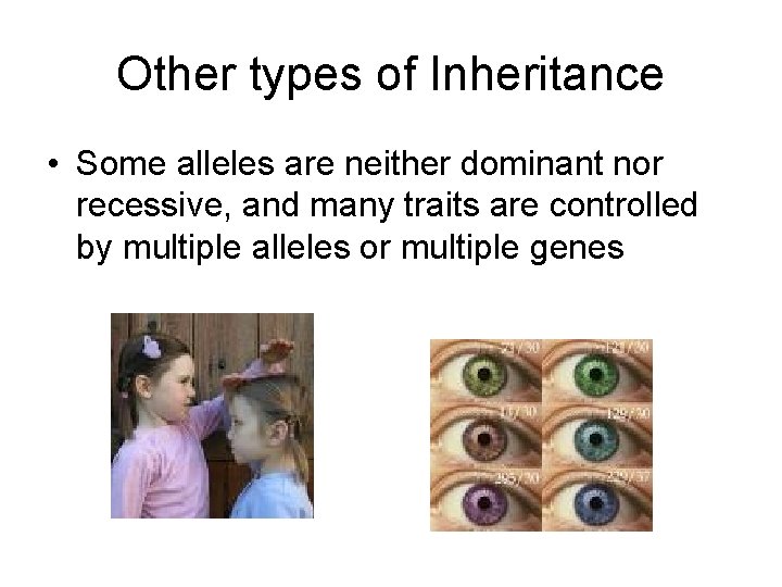 Other types of Inheritance • Some alleles are neither dominant nor recessive, and many