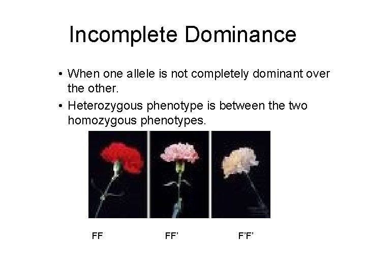 Incomplete Dominance • When one allele is not completely dominant over the other. •