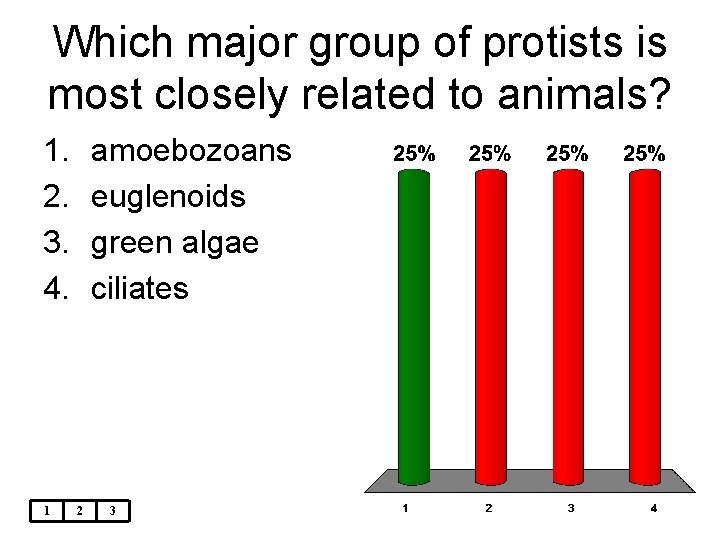 Which major group of protists is most closely related to animals? 1. 2. 3.