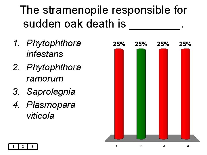 The stramenopile responsible for sudden oak death is ____. 1. Phytophthora infestans 2. Phytophthora