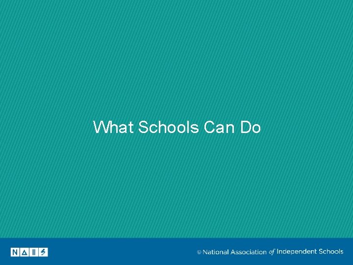 What Schools Can Do 