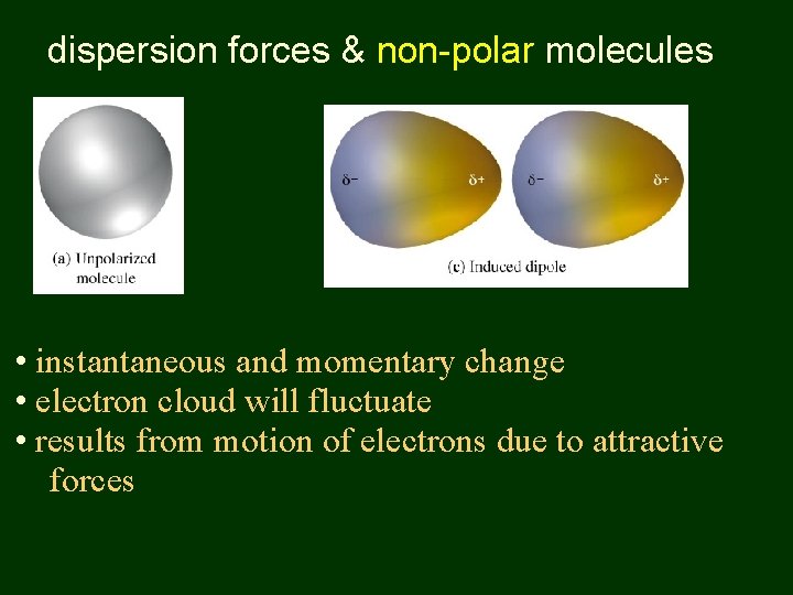 dispersion forces & non-polar molecules • instantaneous and momentary change • electron cloud will