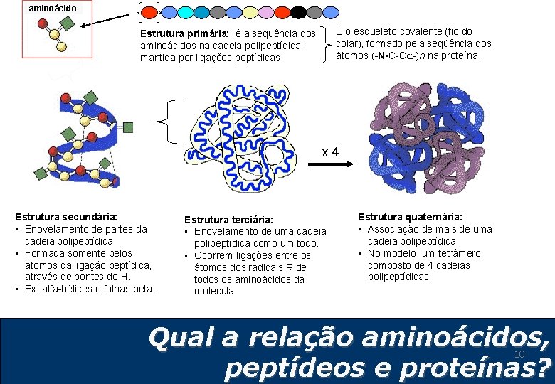 aminoácido É o esqueleto covalente (fio do colar), formado pela seqüência dos átomos (-N-C-C aminoácido É o esqueleto covalente (fio do colar), formado pela seqüência dos átomos (-N-C-C
