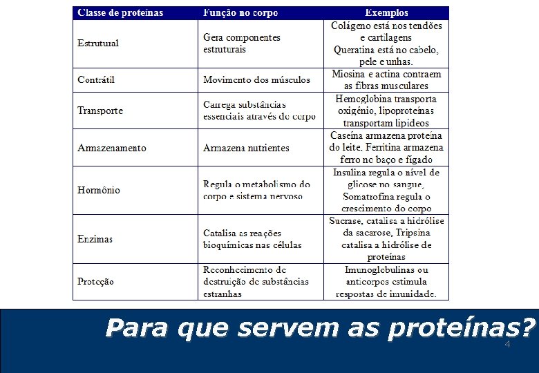 Para que servem as proteínas? 4 Para que servem as proteínas? 4