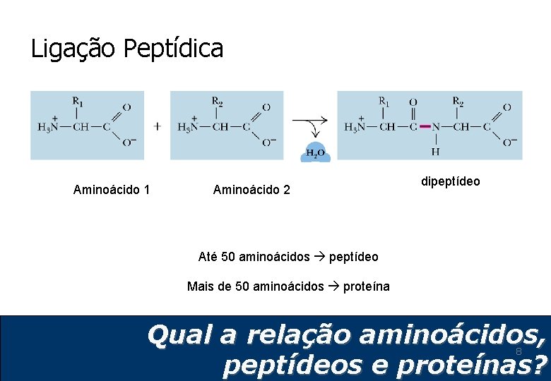 Ligação Peptídica Aminoácido 1 Aminoácido 2 dipeptídeo Até 50 aminoácidos peptídeo Mais de 50 Ligação Peptídica Aminoácido 1 Aminoácido 2 dipeptídeo Até 50 aminoácidos peptídeo Mais de 50