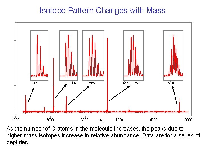 Isotope Pattern Changes with Mass 1295 1000 2095 2000 2465 3000 3655 m/z 4000