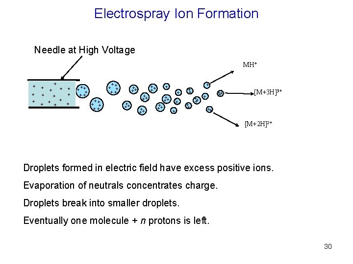 Electrospray Ion Formation Needle at High Voltage MH+ + + + ++ + +