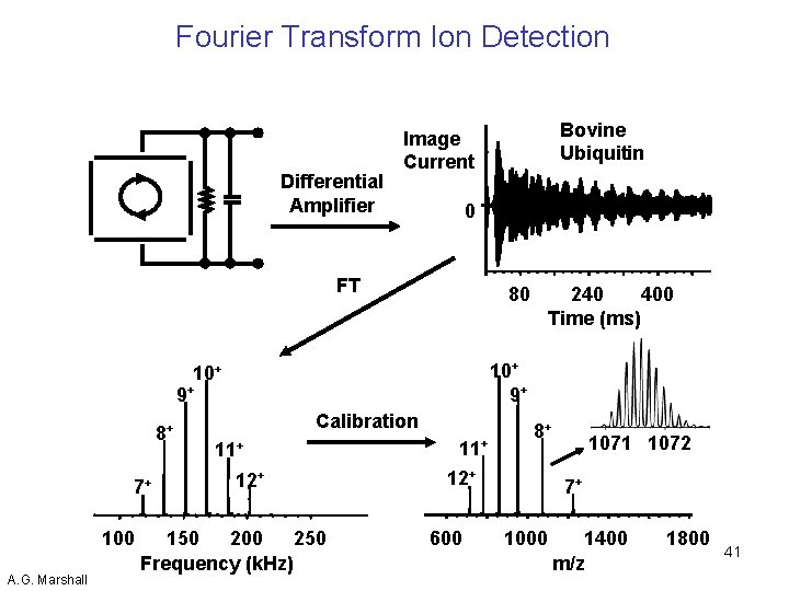 Fourier Transform Ion Detection Differential Amplifier 0 FT 80 9+ 7+ 100 A. G.