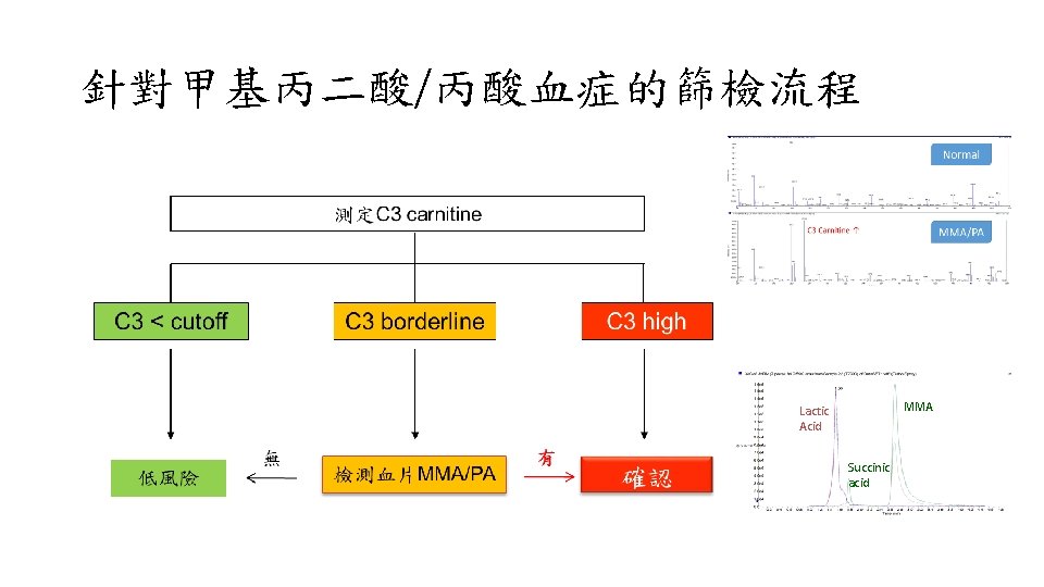 針對甲基丙二酸/丙酸血症的篩檢流程 MMA Lactic Acid Succinic acid 