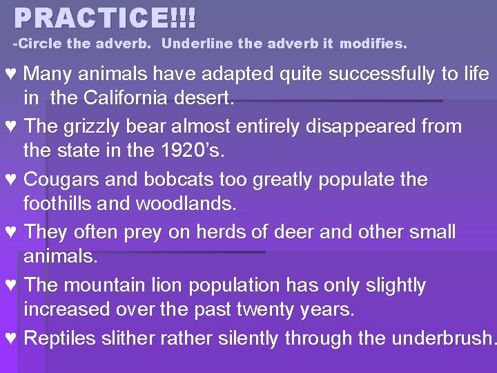 PRACTICE!!! -Circle the adverb. Underline the adverb it modifies. ♥ Many animals have adapted
