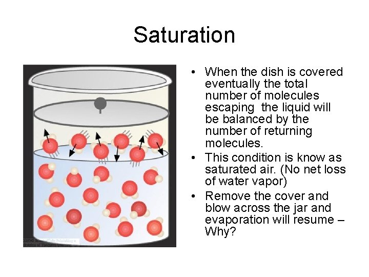 Saturation • When the dish is covered eventually the total number of molecules escaping