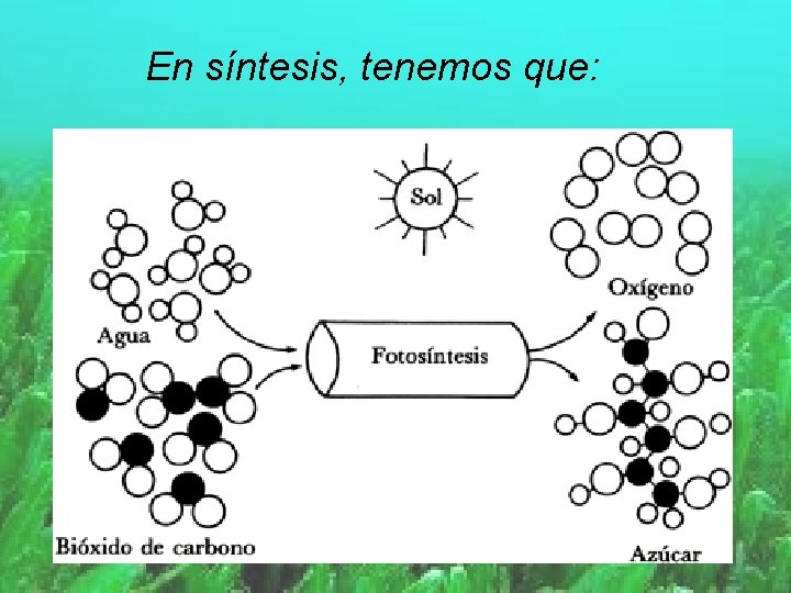 En síntesis, tenemos que: 