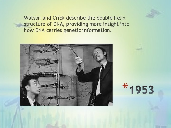 Watson and Crick describe the double helix structure of DNA, providing more insight into