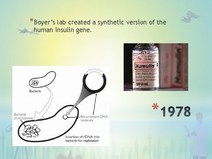 *Boyer’s lab created a synthetic version of the human insulin gene. * 