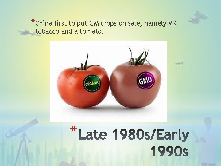 *China first to put GM crops on sale, namely VR tobacco and a tomato.