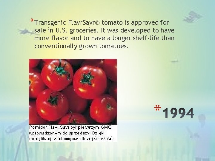 *Transgenic Flavr. Savr® tomato is approved for sale in U. S. groceries. It was