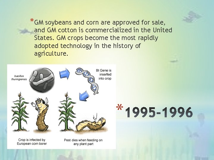 *GM soybeans and corn are approved for sale, and GM cotton is commercialized in