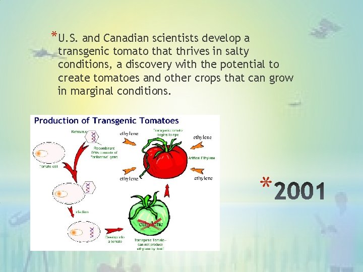 *U. S. and Canadian scientists develop a transgenic tomato that thrives in salty conditions,