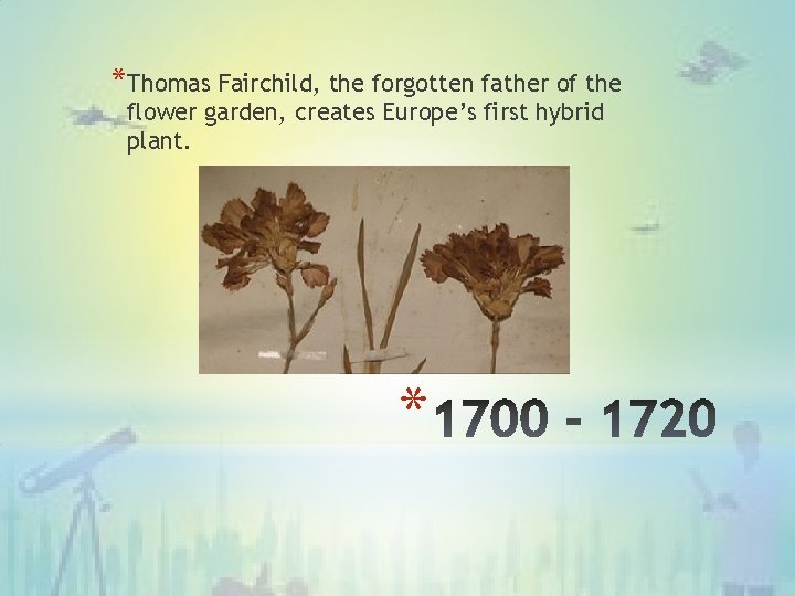 *Thomas Fairchild, the forgotten father of the flower garden, creates Europe’s first hybrid plant.