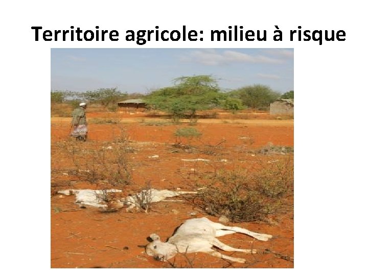 Territoire agricole: milieu à risque 