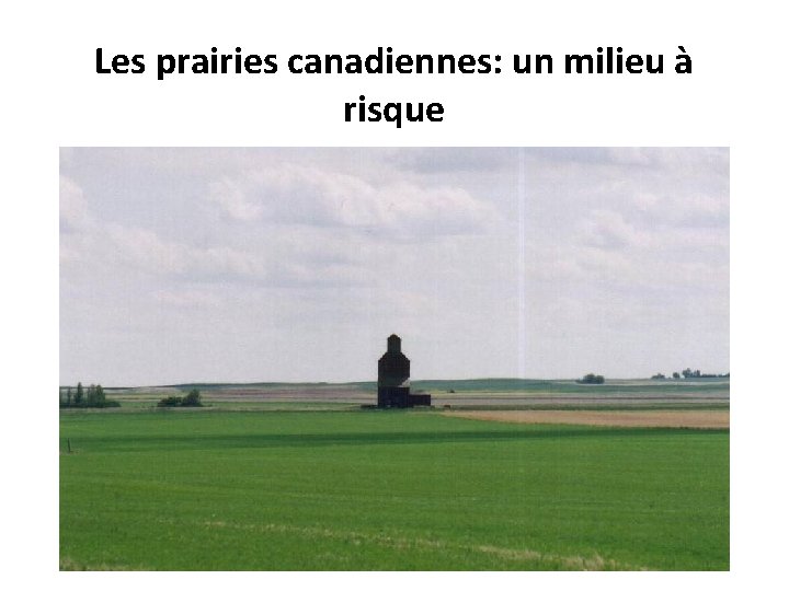 Les prairies canadiennes: un milieu à risque 