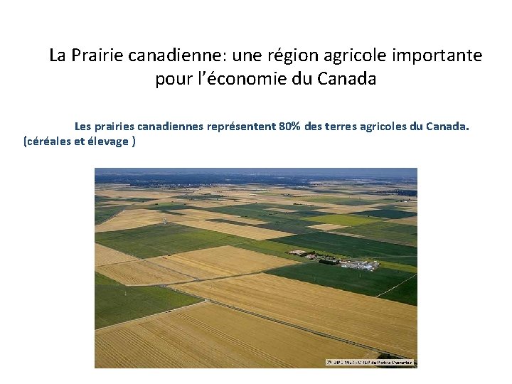 La Prairie canadienne: une région agricole importante pour l’économie du Canada Les prairies canadiennes