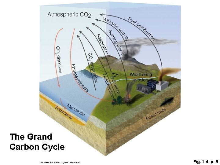 The Grand Carbon Cycle Fig. 1 -4, p. 5 