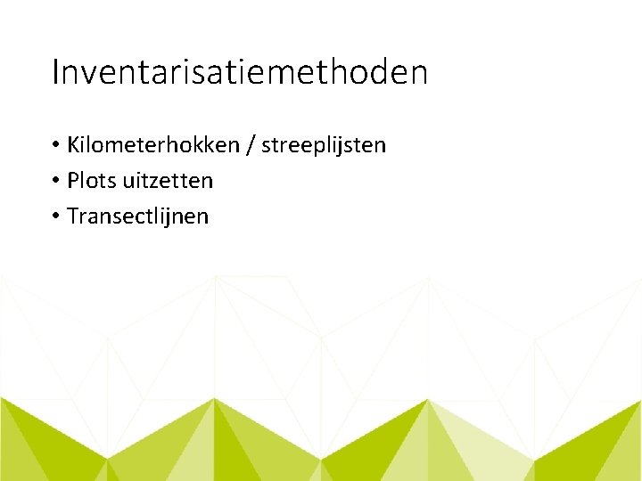 Inventarisatiemethoden • Kilometerhokken / streeplijsten • Plots uitzetten • Transectlijnen 