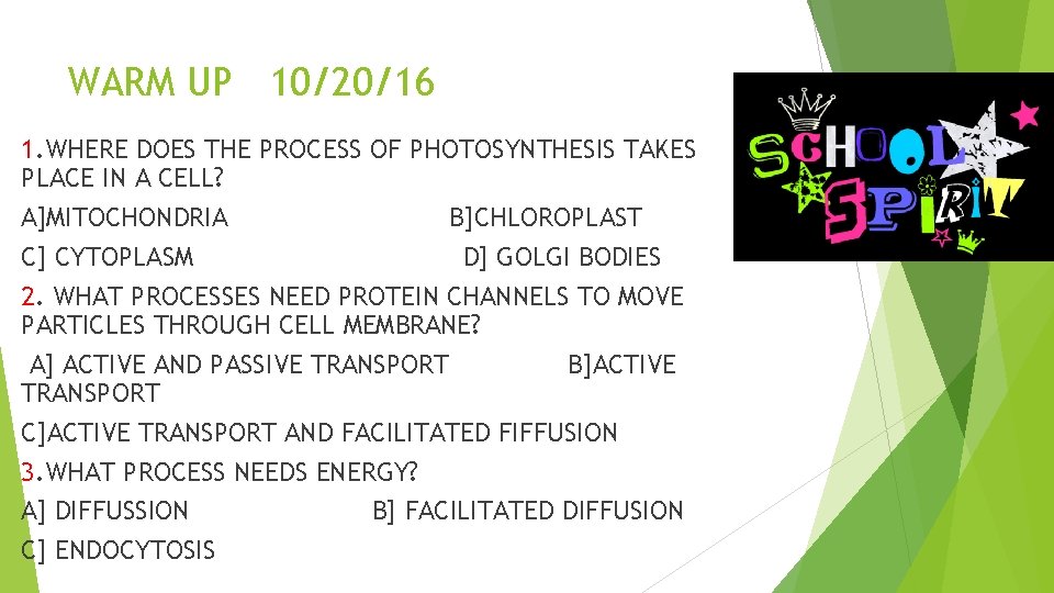 WARM UP 10/20/16 1. WHERE DOES THE PROCESS OF PHOTOSYNTHESIS TAKES PLACE IN A