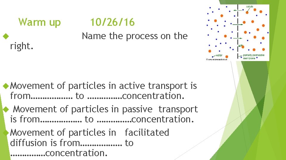 Warm up right. Movement 10/26/16 Name the process on the of particles in active