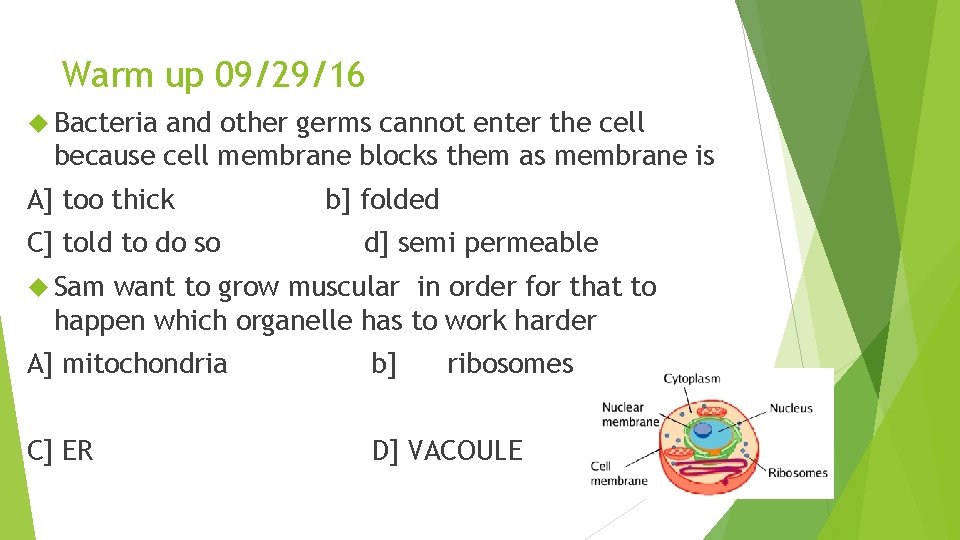 Warm up 09/29/16 Bacteria and other germs cannot enter the cell because cell membrane